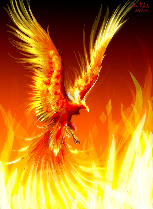 fenix-hl-obrazek.jpg fenix-hl-obrazek.jpg